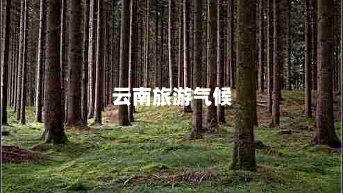 云南旅游氣候 云南旅游氣候