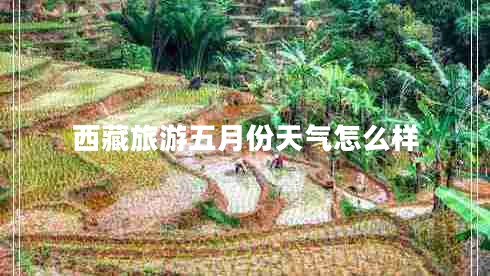 西藏旅游五月份天氣怎么樣