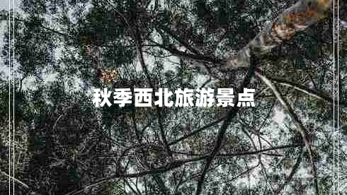 秋季西北旅游景點(diǎn)
