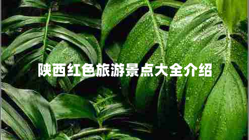 陜西紅色旅游景點大全介紹