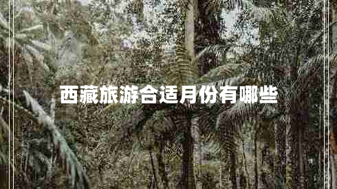 西藏旅游合適月份有哪些