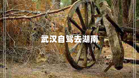 武漢自駕去湖南 武漢自駕去湖南