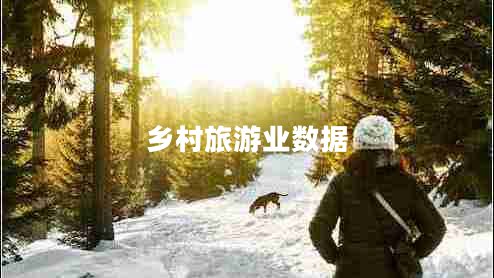 鄉(xiāng)村旅游業(yè)數(shù)據(jù)