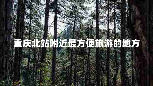 重慶北站附近最方便旅游的地方