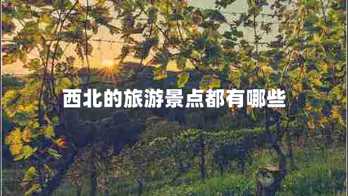 西北的旅游景點(diǎn)都有哪些