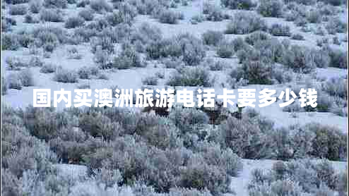 國(guó)內(nèi)買澳洲旅游電話卡要多少錢
