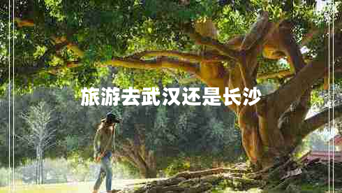 旅游去武漢還是長沙