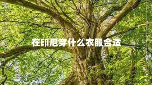 在印尼穿什么衣服合適 在印尼穿什么衣服合適