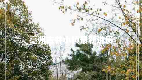 亳州古井小鎮(zhèn)最新進(jìn)展