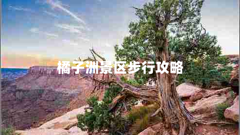 橘子洲景區(qū)步行攻略