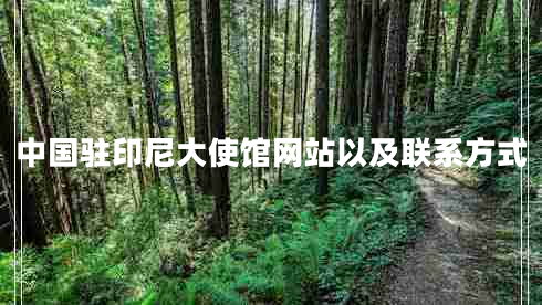 中國駐印尼大使館網(wǎng)站以及聯(lián)系方式