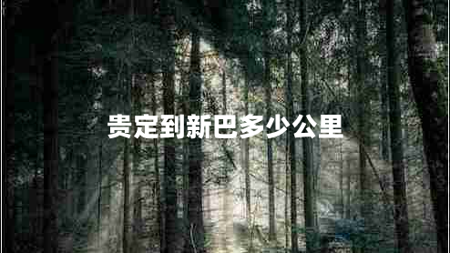 貴定到新巴多少公里