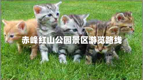 赤峰紅山公園景區(qū)游覽路線