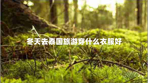 冬天去泰國(guó)旅游穿什么衣服好