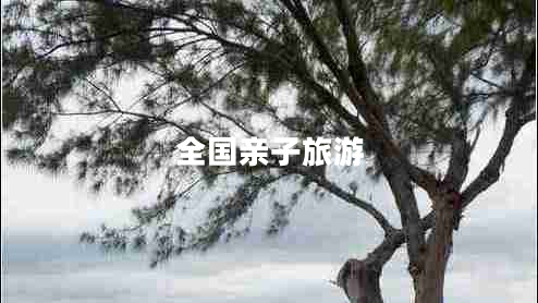 全國親子旅游