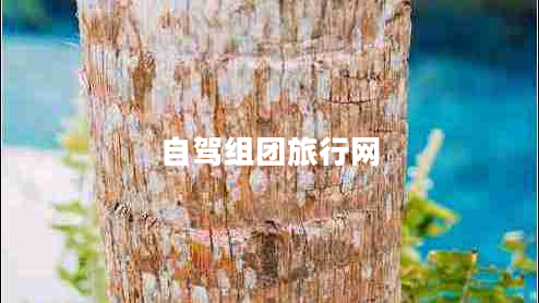 自駕組團旅行網(wǎng)