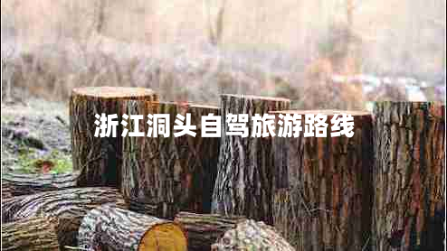 浙江洞頭自駕旅游路線