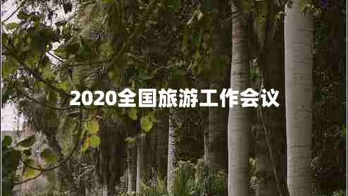 2020全國旅游工作會議