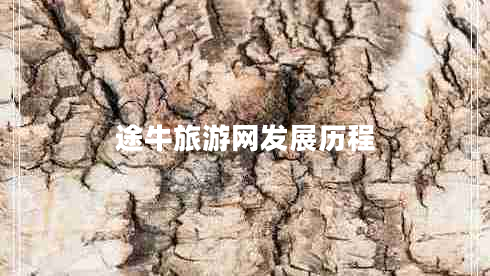 途牛旅游網(wǎng)發(fā)展歷程 途牛旅游網(wǎng)發(fā)展歷程