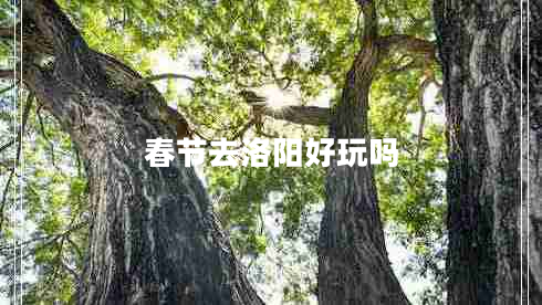 春節(jié)去洛陽好玩嗎