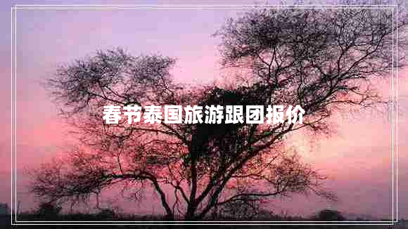 春節(jié)泰國旅游跟團報價