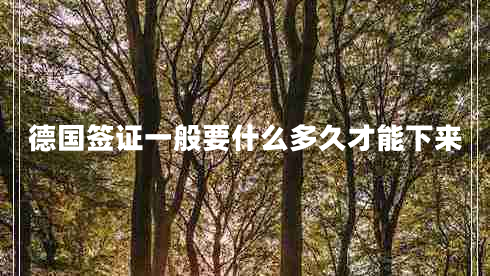 德國簽證一般要什么多久才能下來