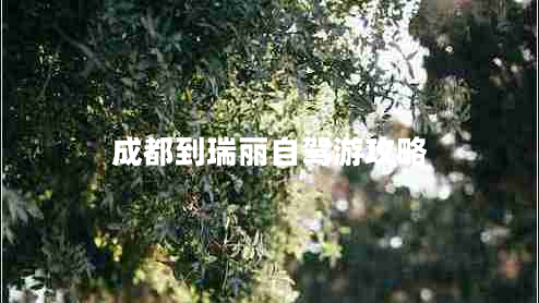 成都到瑞麗自駕游攻略 成都到瑞麗自駕游攻略