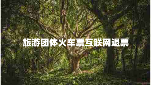 旅游團體火車票互聯(lián)網(wǎng)退票