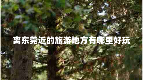 離東莞近的旅游地方有哪里好玩