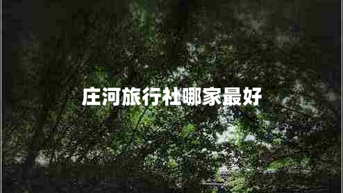 莊河旅行社哪家最好