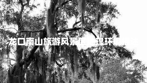 龍口南山旅游風(fēng)景區(qū)地理環(huán)境描述