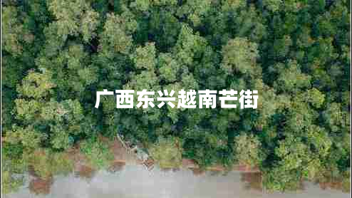 廣西東興越南芒街