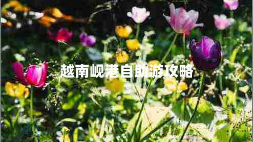 越南峴港自助游攻略 越南峴港自助游攻略