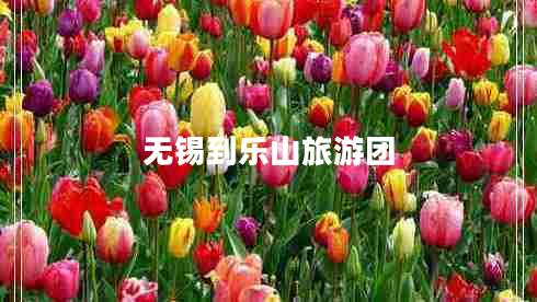 無錫到樂山旅游團