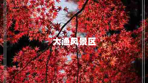 大漁風(fēng)景區(qū) 大漁風(fēng)景區(qū)