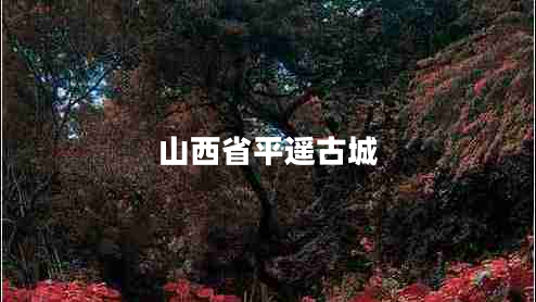 山西省平遙古城