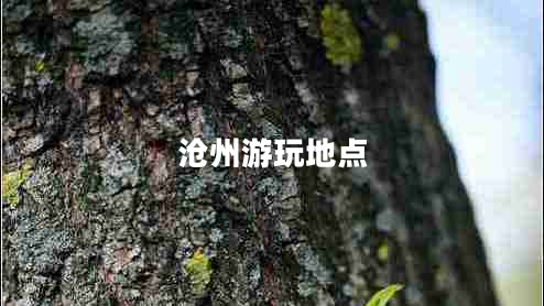 滄州游玩地點(diǎn)