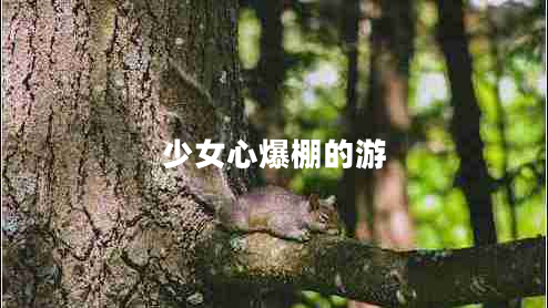 少女心爆棚的游 少女心爆棚的游