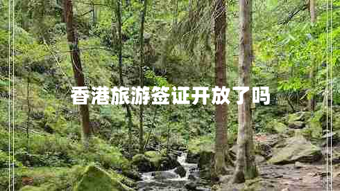 香港旅游簽證開放了嗎