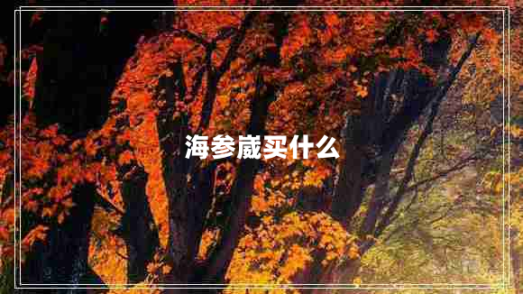 海參崴買什么 海參崴買什么