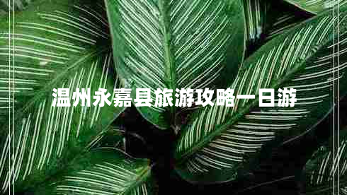 溫州永嘉縣旅游攻略一日游 溫州永嘉縣旅游攻略一日游