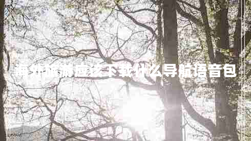 海外旅游應(yīng)該下載什么導(dǎo)航語(yǔ)音包