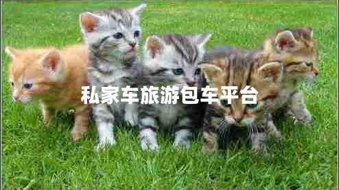 私家車(chē)旅游包車(chē)平臺(tái)