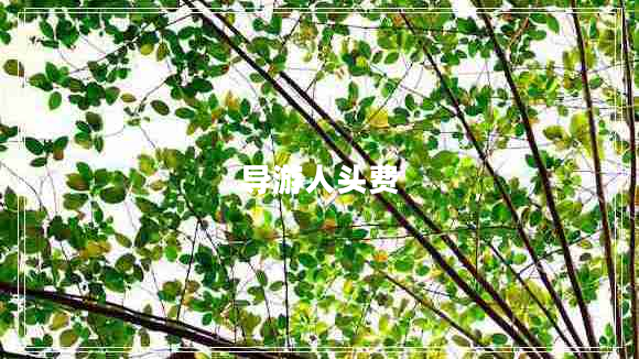 導(dǎo)游人頭費(fèi)