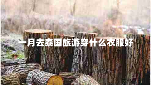 一月去泰國旅游穿什么衣服好