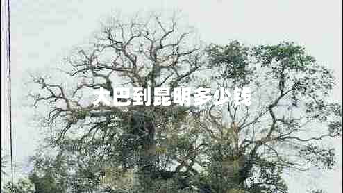 大巴到昆明多少錢