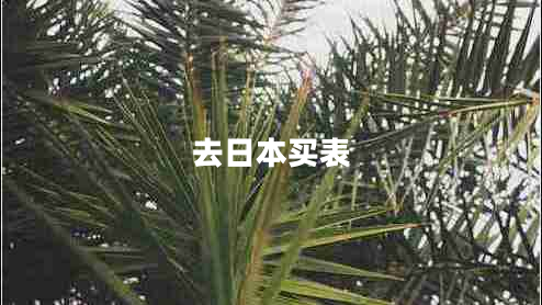 去日本買表