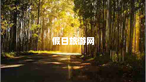 假日旅游網(wǎng)