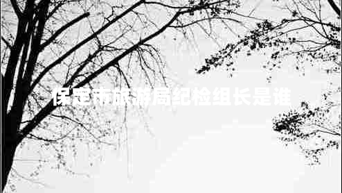 保定市旅游局紀檢組長是誰 保定市旅游局紀檢組長是誰