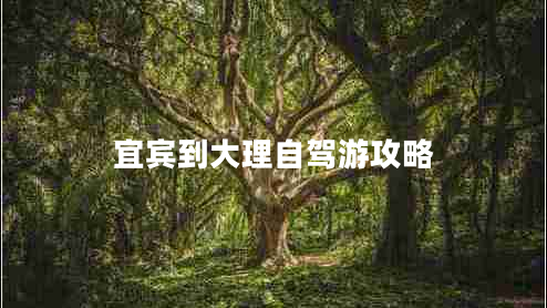 宜賓到大理自駕游攻略 宜賓到大理自駕游攻略